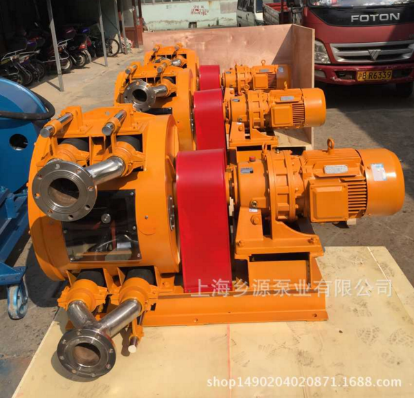 大流量双管软管泵-上海乡源泵业有限公司